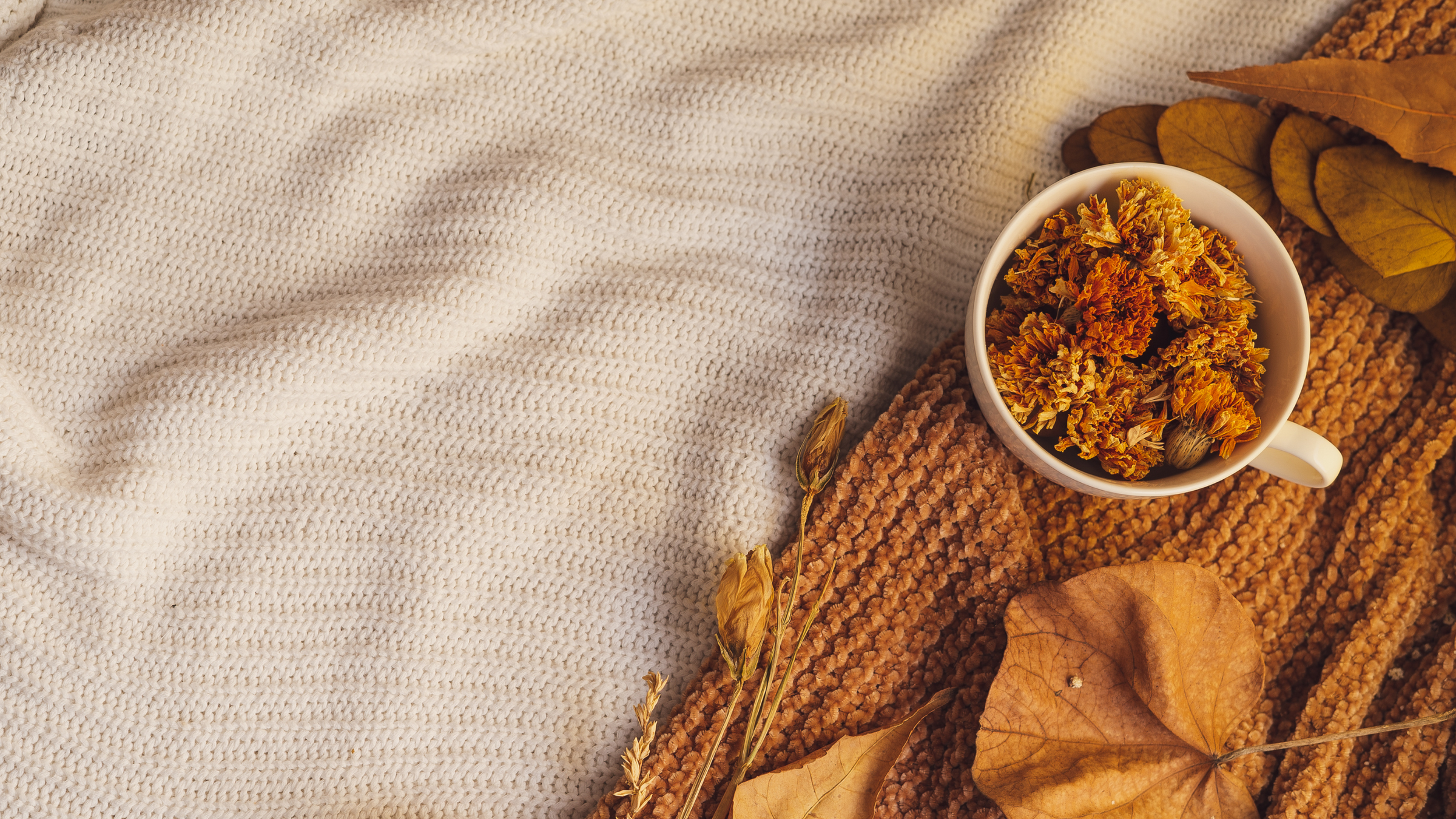 Crisp Day Essentials