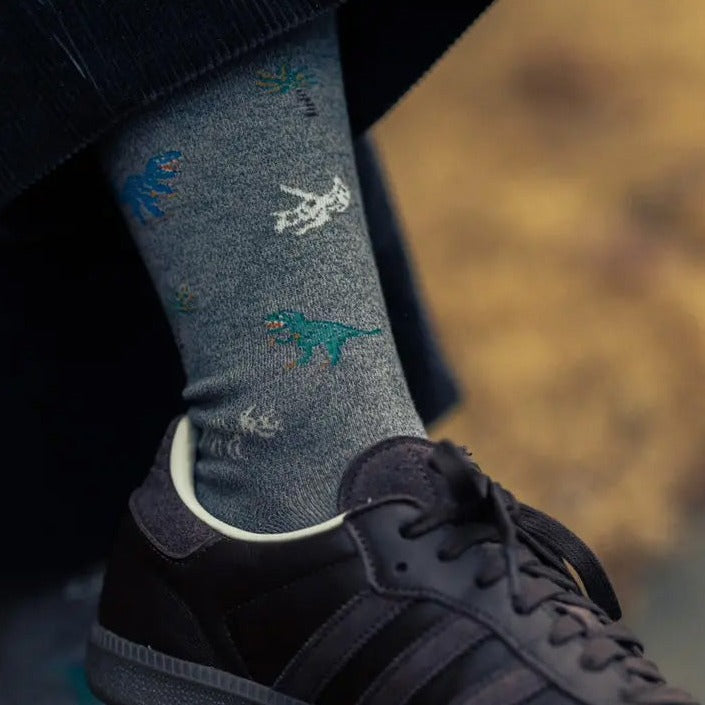 Men's Dinosaur Socks