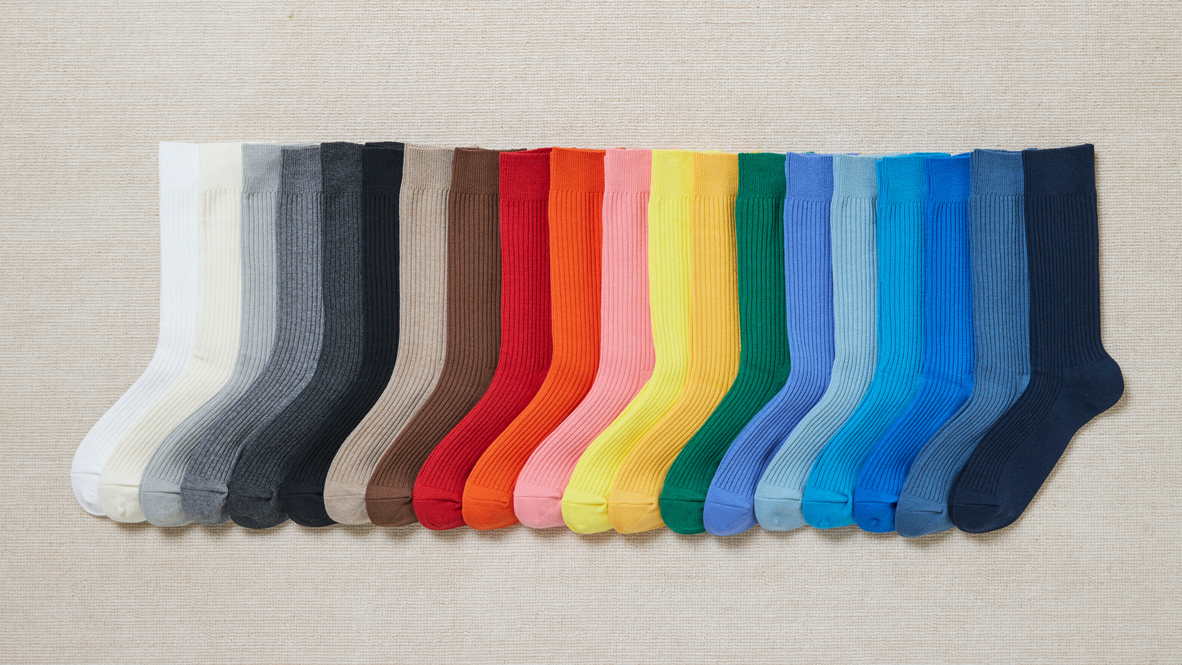 011132709 Duck Pattern Low Crew Socks